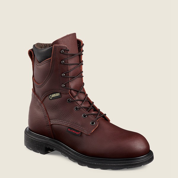 Work Støvler Herre - Red Wing Supersole® 2.0 - 8-Inch Insulated Waterproof Soft Toe - Bordeaux - WFS